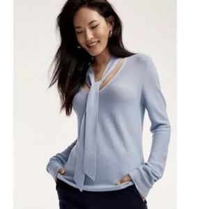 Aritzia Babaton Ross Merino Wool V-Neck Sweater